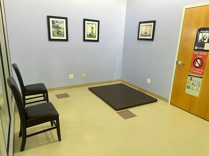 Canine Center 12