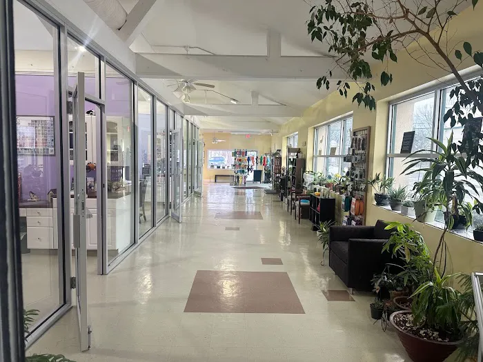 Canine Center 12