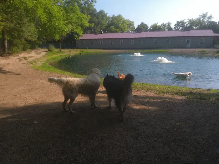 Brentwood Animal Campus 12