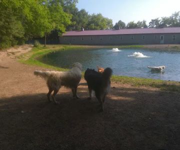 Brentwood Animal Campus