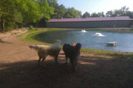 Brentwood Animal Campus