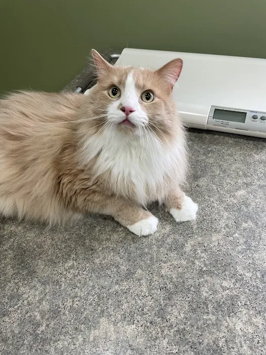 Brentwood Animal Campus 12