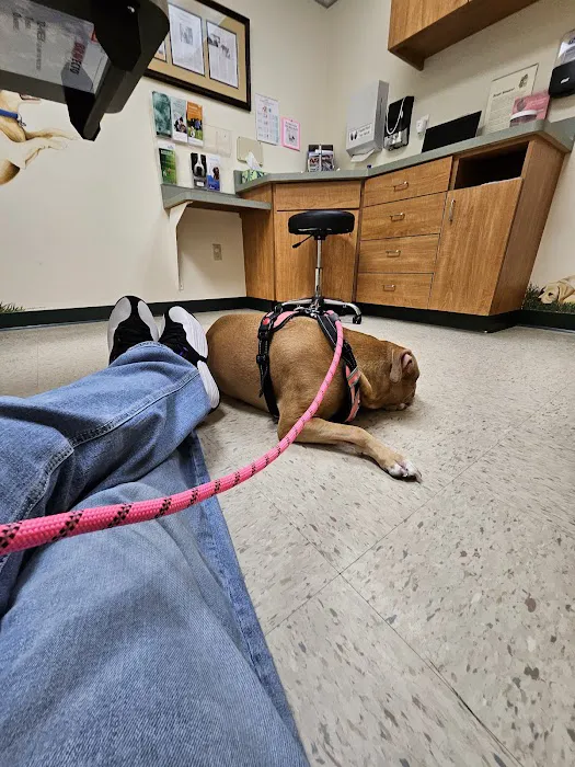 Fox Valley Veterinary Service 6