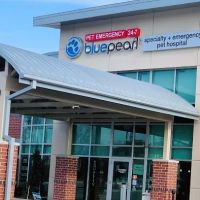 BluePearl Pet Hospital ico