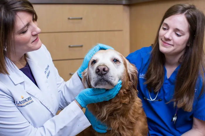 BluePearl Pet Hospital 9
