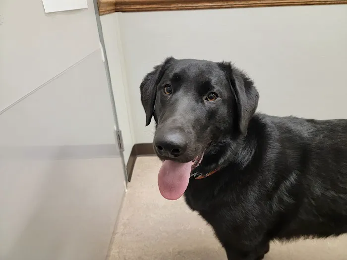 Muskego Animal Hospital 12