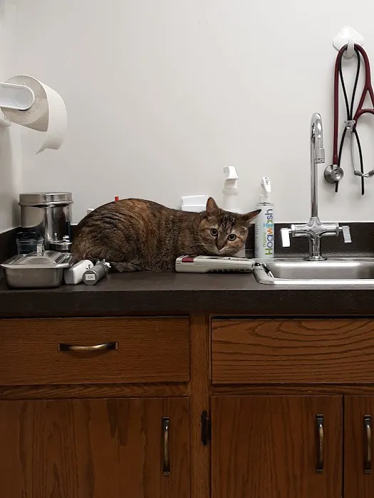 Muskego Animal Hospital 12