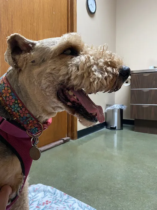 Star Veterinary Center of Muskego 5
