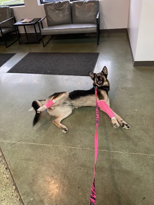 Star Veterinary Center of Muskego 4