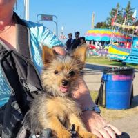 Vetco Vaccination Clinic ico