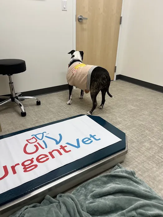 UrgentVet 3
