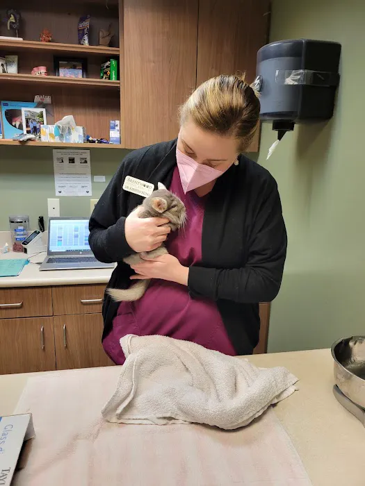 Brentwood Animal Hospital 8
