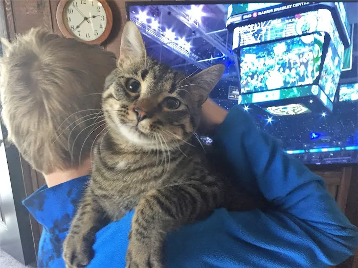 Star Veterinary Wellness and Urgent Care Center 12