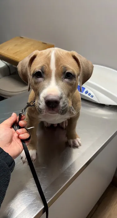 Greenfield Veterinary Clinic 1