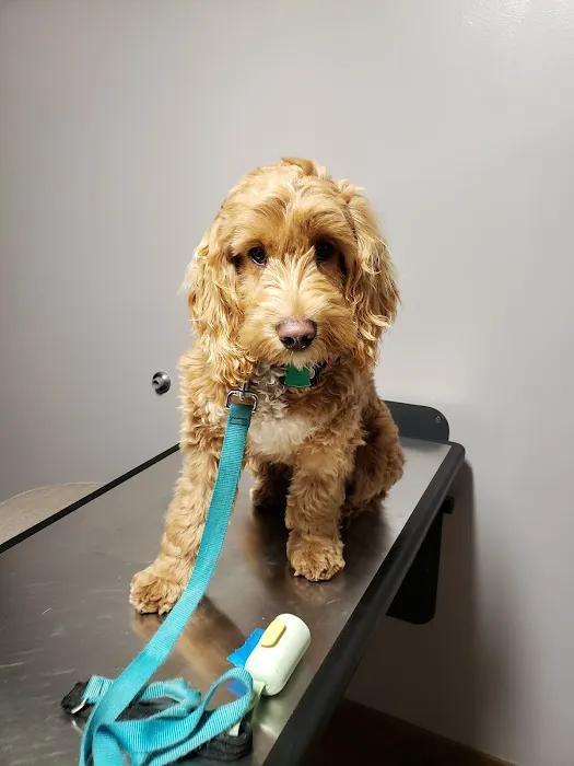 Greenfield Veterinary Clinic 2