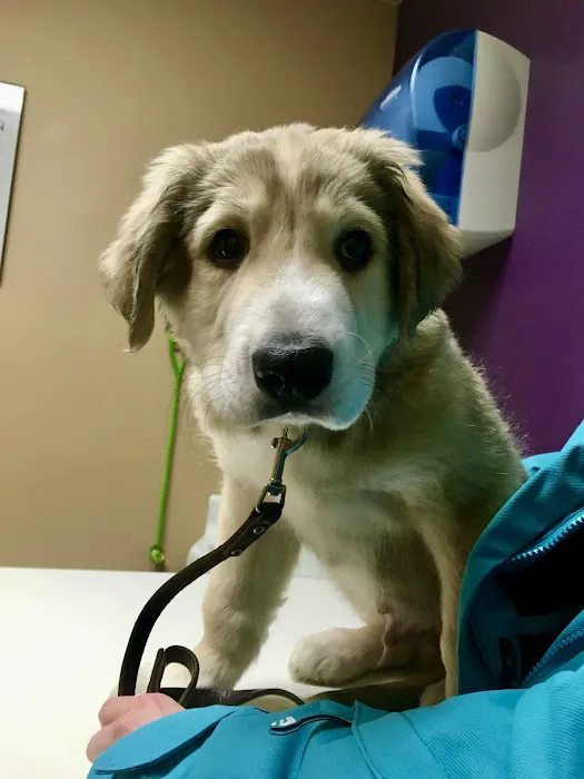 Cudahy Veterinary Clinic 12