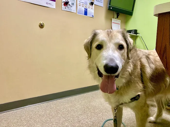 Cudahy Veterinary Clinic 12