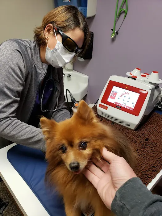 Cudahy Veterinary Clinic 12