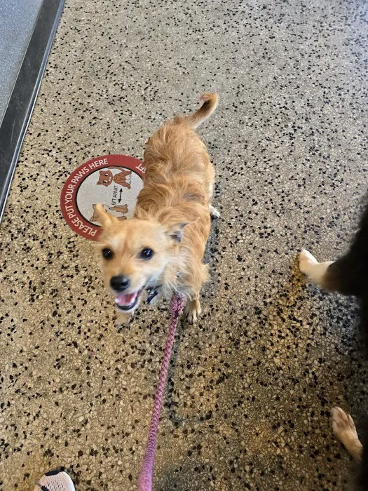 Layton Animal Hospital 12