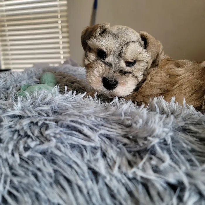 Layton Animal Hospital 12