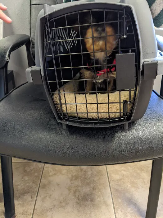 Airport Animal Hospital 12
