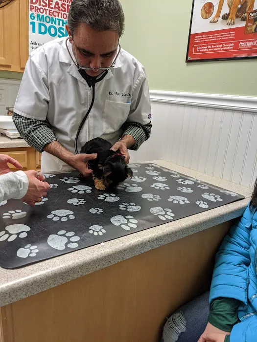 Airport Animal Hospital 12