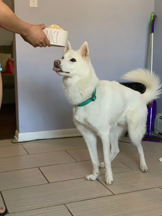 Best Friends Animal Hospital 12