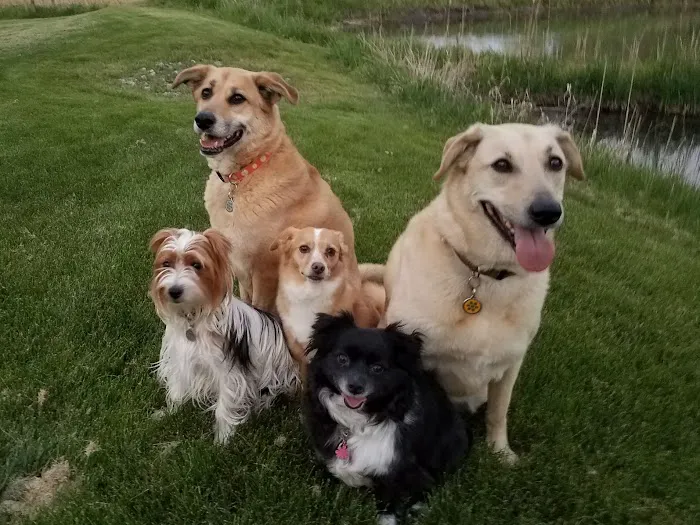 Best Friends Animal Hospital 12