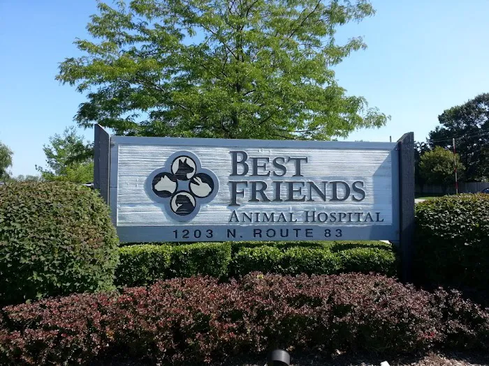 Best Friends Animal Hospital 12