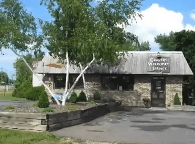 Country Veterinary Service 12