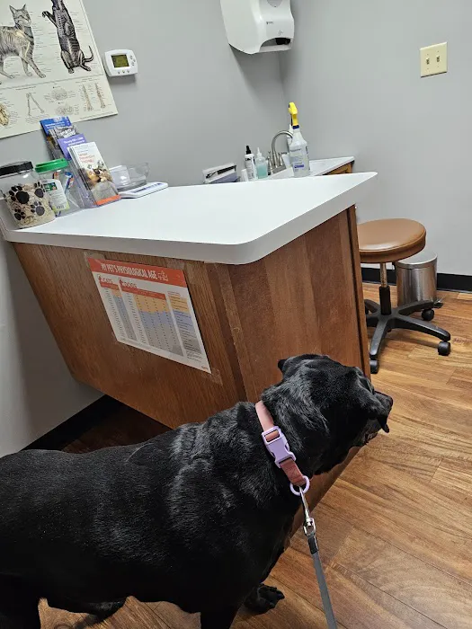 Molitor Pet & Bird Clinic 2