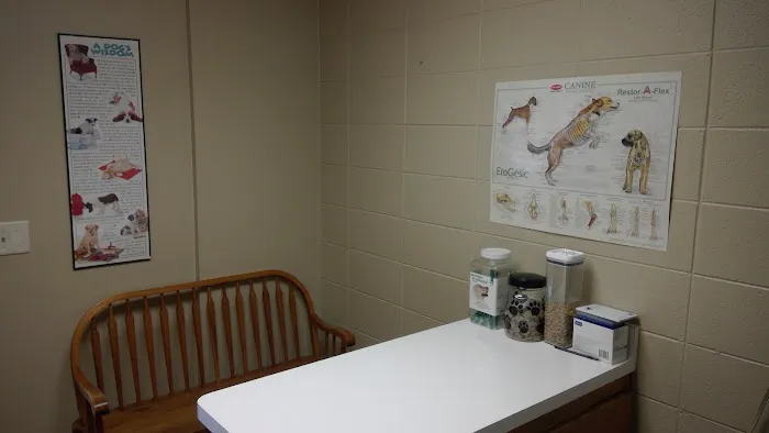 Molitor Pet & Bird Clinic 1