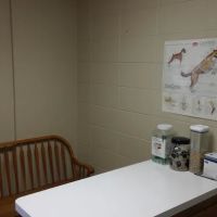 Molitor Pet & Bird Clinic ico