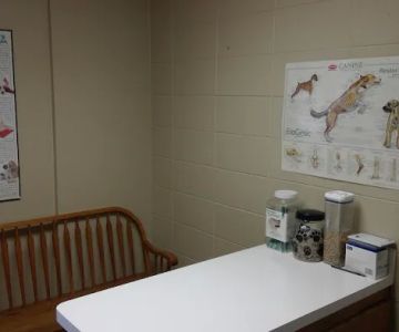 Molitor Pet & Bird Clinic