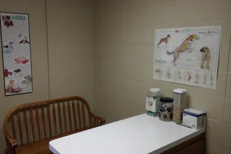 Molitor Pet & Bird Clinic