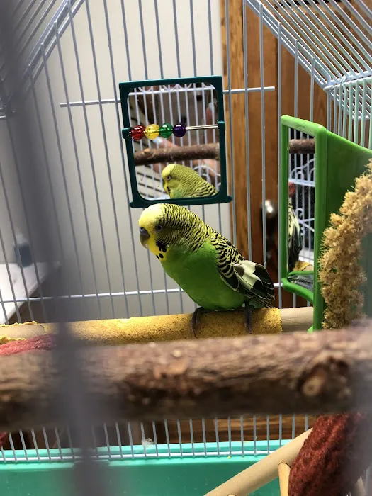 Molitor Pet & Bird Clinic 6