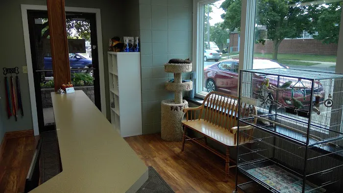 Molitor Pet & Bird Clinic 3