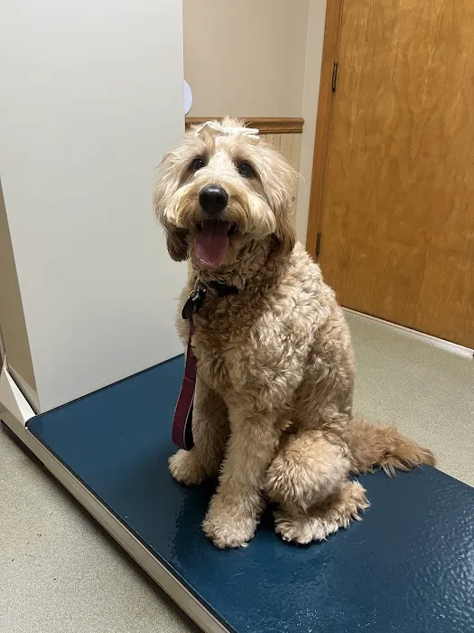 Seven Oaks Veterinary Clinic 12