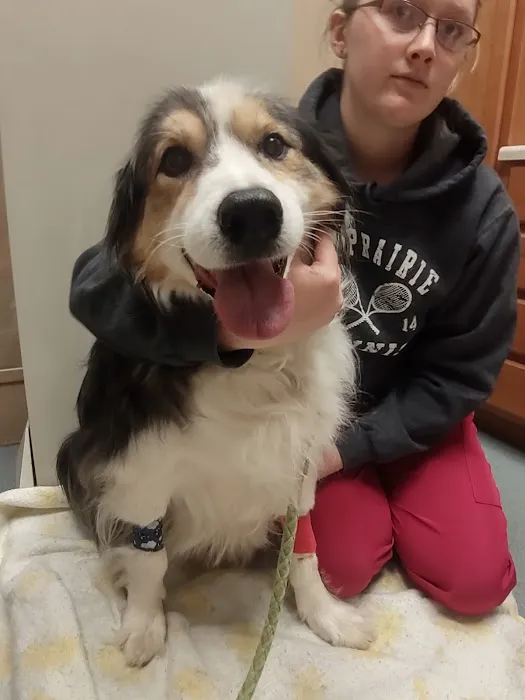 Seven Oaks Veterinary Clinic 12