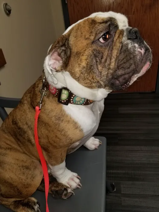 Plymouth Veterinary Clinic 9