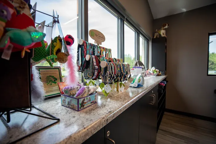 Plymouth Veterinary Clinic 8