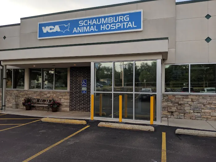 Schaumburg Veterinary Hospital: Bloomberg Katie DVM 12
