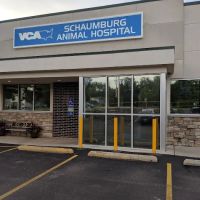 Schaumburg Veterinary Hospital: Bloomberg Katie DVM ico