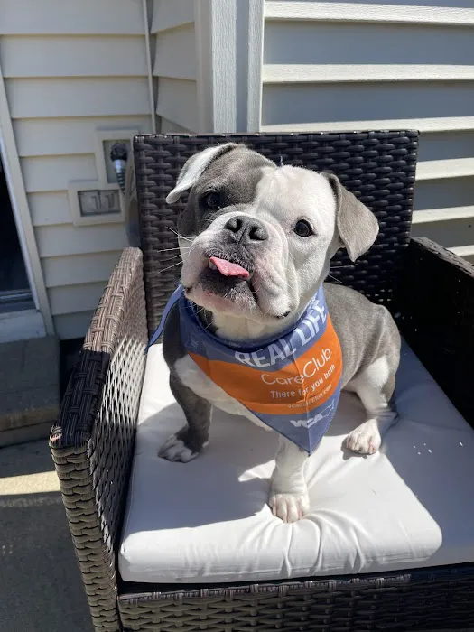 VCA Schaumburg Animal Hospital 1