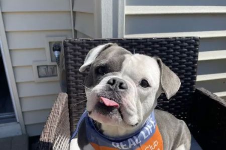 VCA Schaumburg Animal Hospital