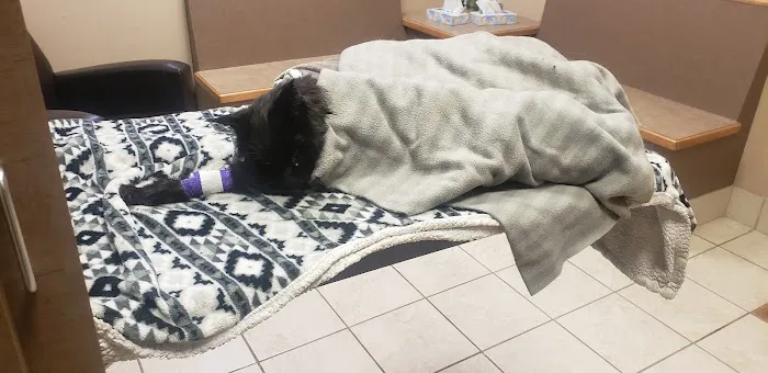 VCA Schaumburg Animal Hospital 3