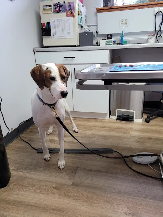 Fox Valley Animal Hospital 2