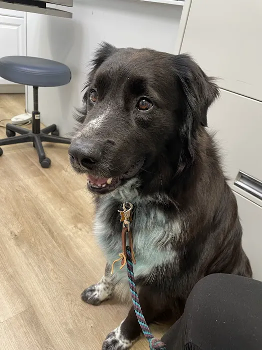 Fox Valley Animal Hospital 4