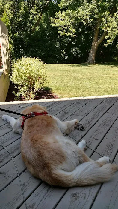 Fox Valley Animal Hospital 8