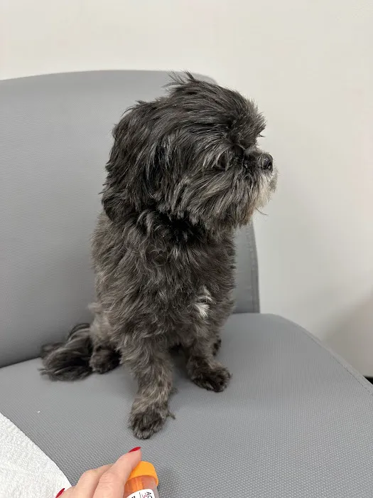 Banfield Pet Hospital 7